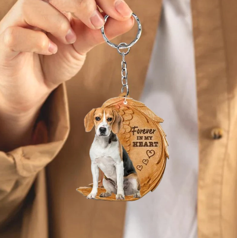 Beagle | Na Zawsze w Moim Sercu