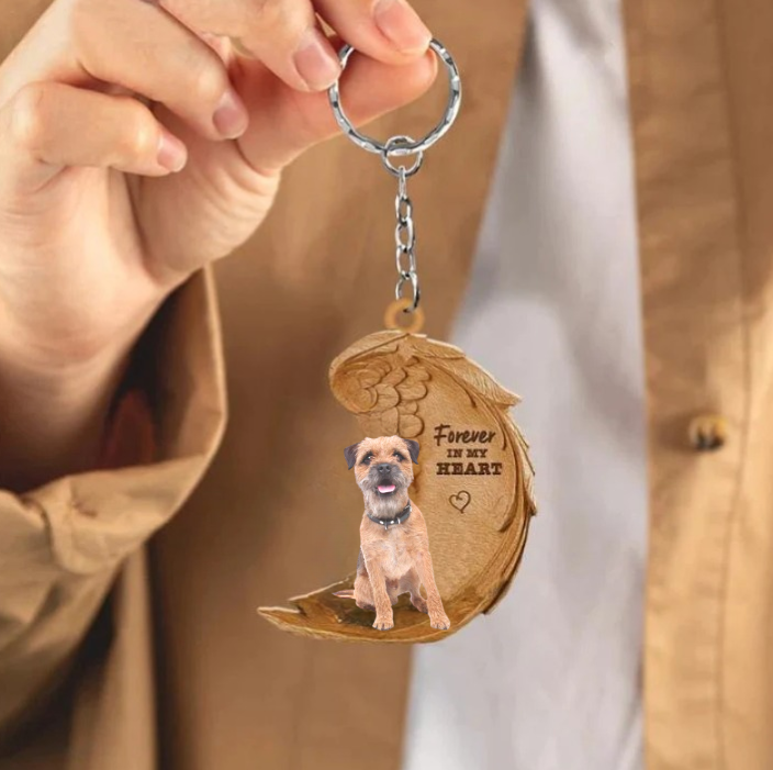 Border Terrier 4 | Na Zawsze w Moim Sercu