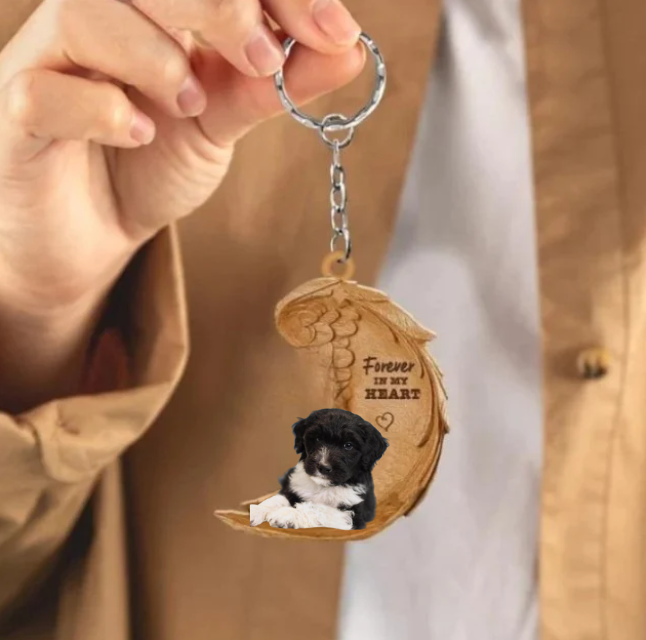 Bordoodle | Na Zawsze w Moim Sercu