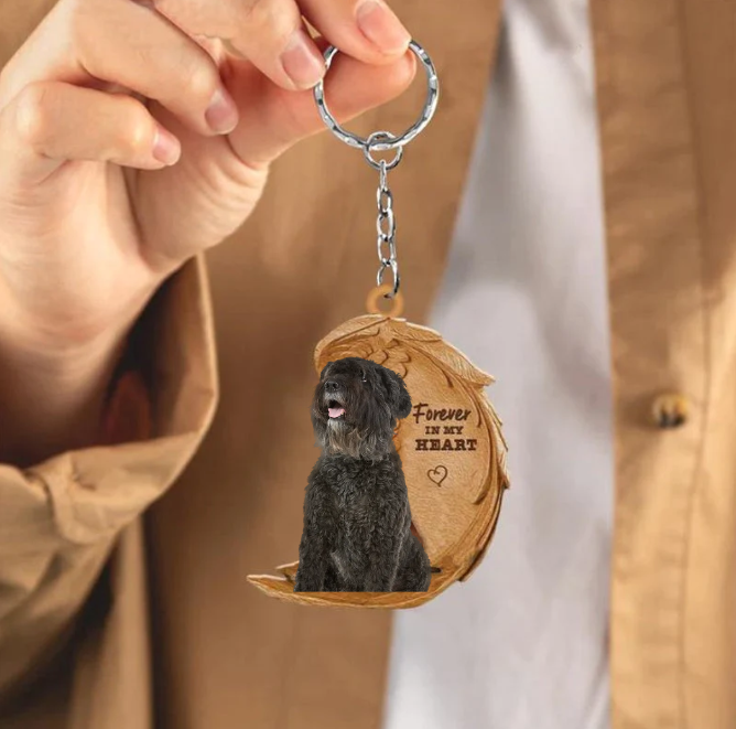 Bouvier des Flandres 3 | Na Zawsze w Moim Sercu