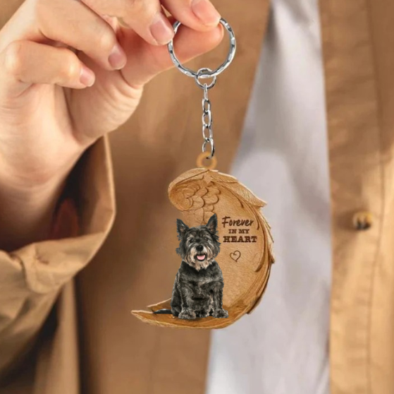 Cairn terrier 1 | Na Zawsze w Moim Sercu