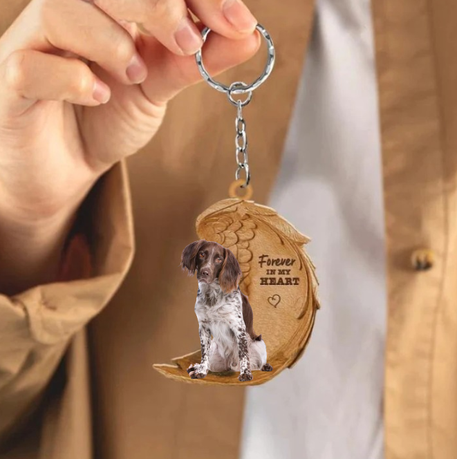 Münsterländer 2 | Na Zawsze w Moim Sercu