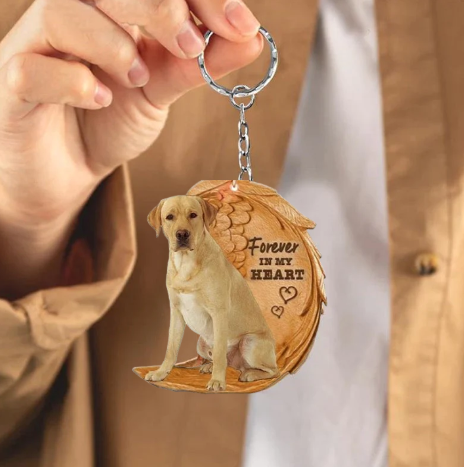 Blond Labrador | Voor Altijd in Mijn Hart