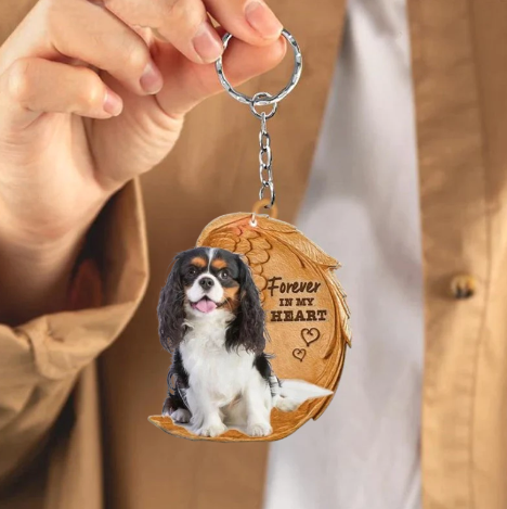 Cavalier King Charles Spaniel | Voor Altijd in Mijn Hart