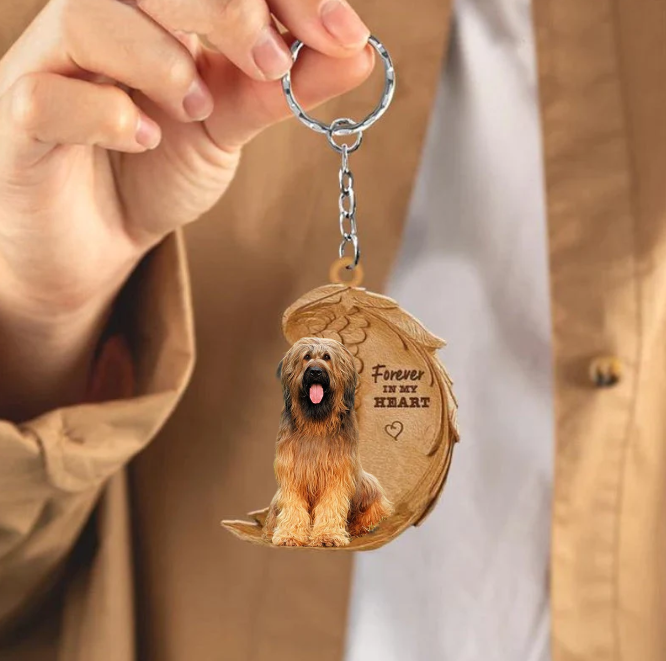 Briard | Voor Altijd in Mijn Hart