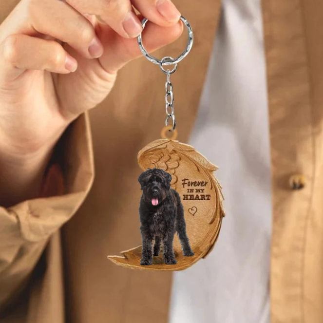 Bouvier des Flandres | Voor Altijd in Mijn Hart