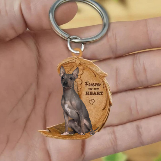 Amerykański pies nagołowy | Na Zawsze w Moim Sercu