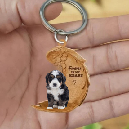 Australijski Doodle | Na Zawsze w Moim Sercu