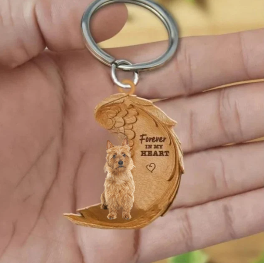 Australijski terier 2 | Na Zawsze w Moim Sercu