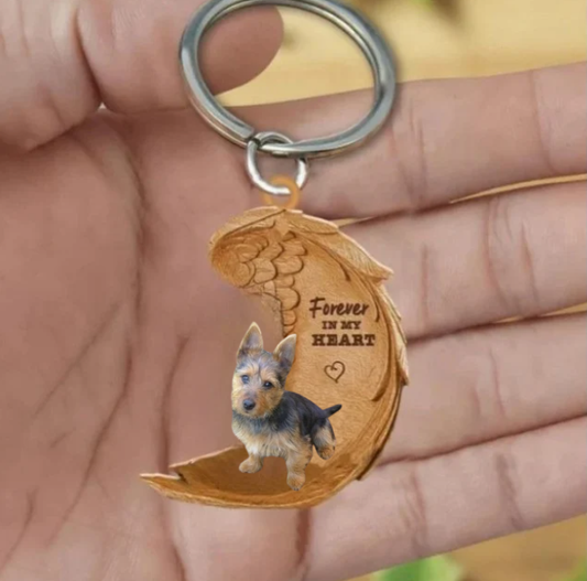 Australijski terier 3 | Na Zawsze w Moim Sercu