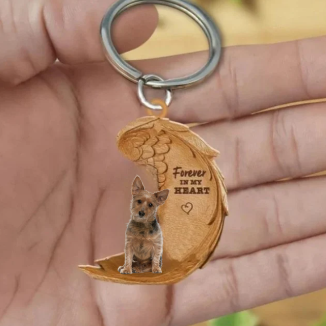 Australijski terier | Na Zawsze w Moim Sercu