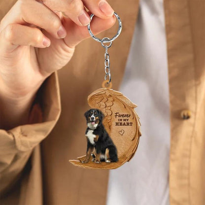 Bernese Mountain | Na Zawsze w Moim Sercu