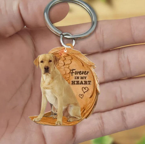 Blond Labrador | Na Zawsze w Moim Sercu