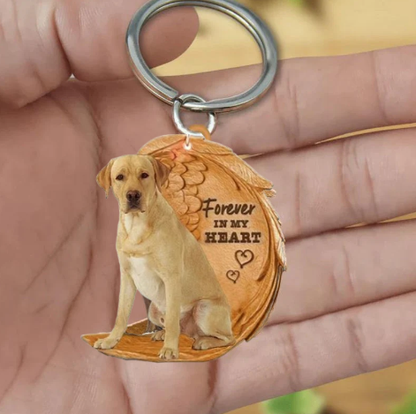 Blond Labrador | Na Zawsze w Moim Sercu