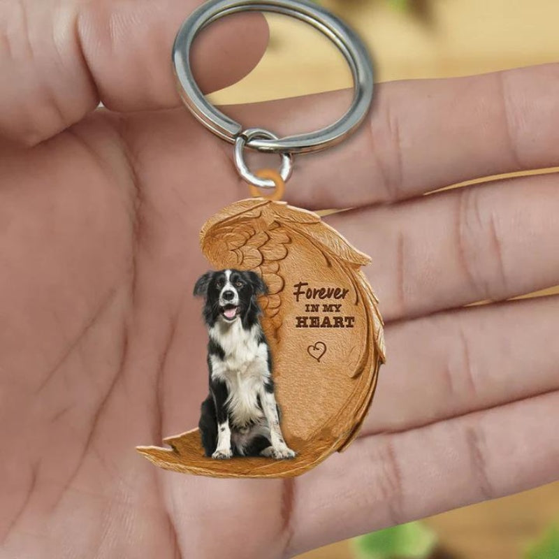 Border Collie | Na Zawsze w Moim Sercu