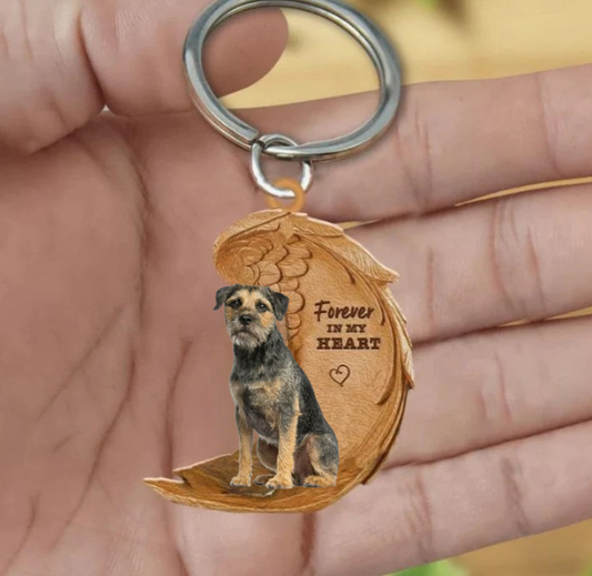 Border Terrier 3 | Na Zawsze w Moim Sercu