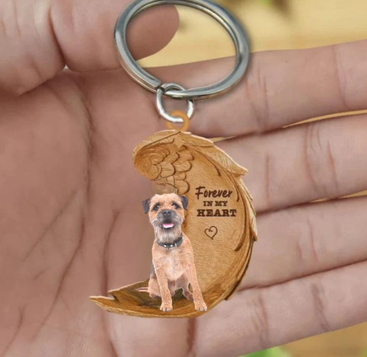 Border Terrier 4 | Na Zawsze w Moim Sercu