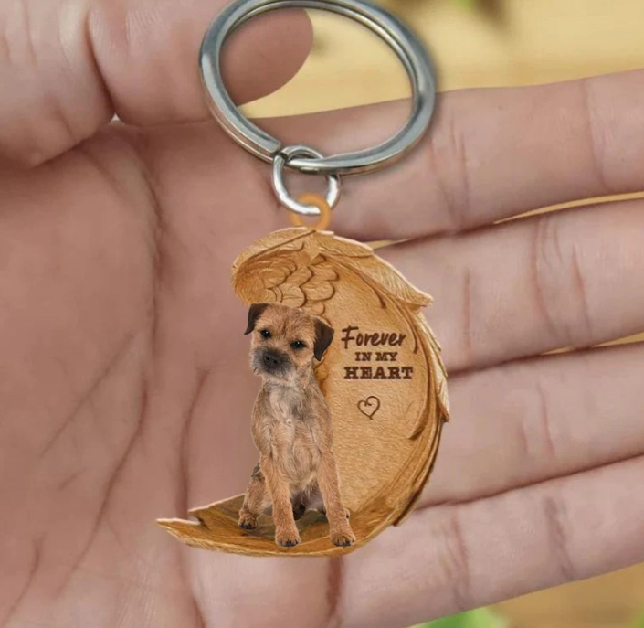 Border Terrier | Na Zawsze w Moim Sercu