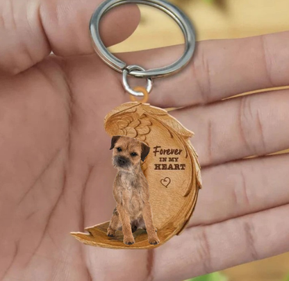 Border Terrier | Na Zawsze w Moim Sercu