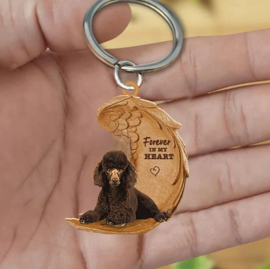 Brązowy Pudel | Na Zawsze w Moim Sercu