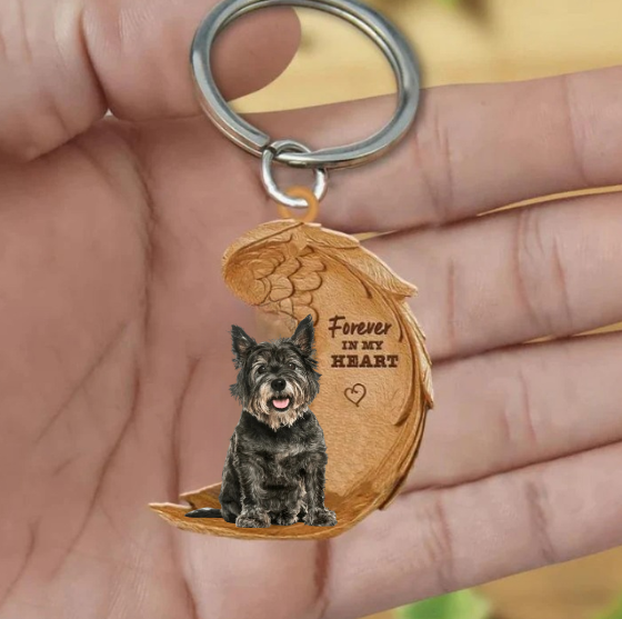 Cairn terrier 1 | Na Zawsze w Moim Sercu