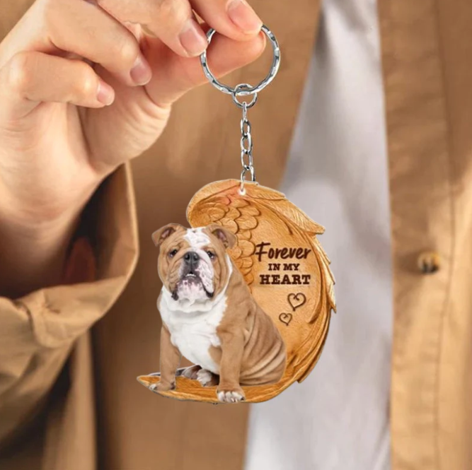 Angielski Bulldog | Na Zawsze w Moim Sercu