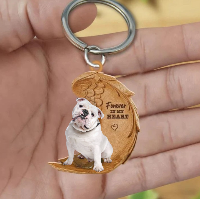 Angielski Bulldog Biały | Na Zawsze w Moim Sercu