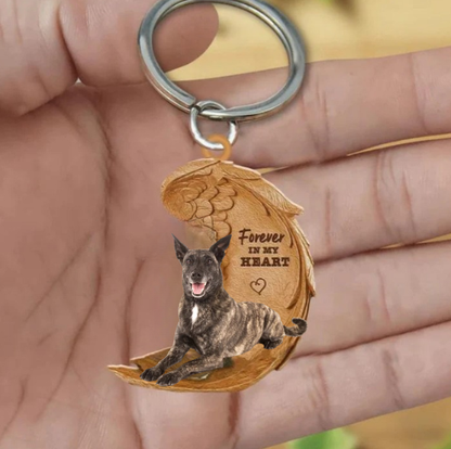 Hollandse Herder | Na Zawsze w Moim Sercu