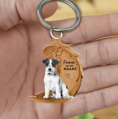 Jack Russel 6 | Na Zawsze w Moim Sercu