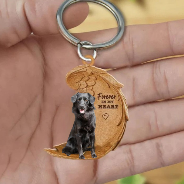 Markiesje | Na Zawsze w Moim Sercu