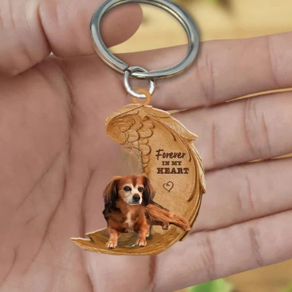 Pomeranian keeshond x King Charles Krzyżówka | Na Zawsze w Moim Sercu