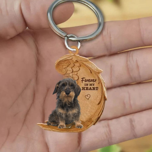 Ruwhaar Teckel Dachshund | Na Zawsze w Moim Sercu