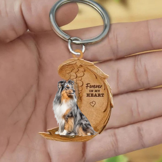 Sheltie Blue Merle | Na Zawsze w Moim Sercu