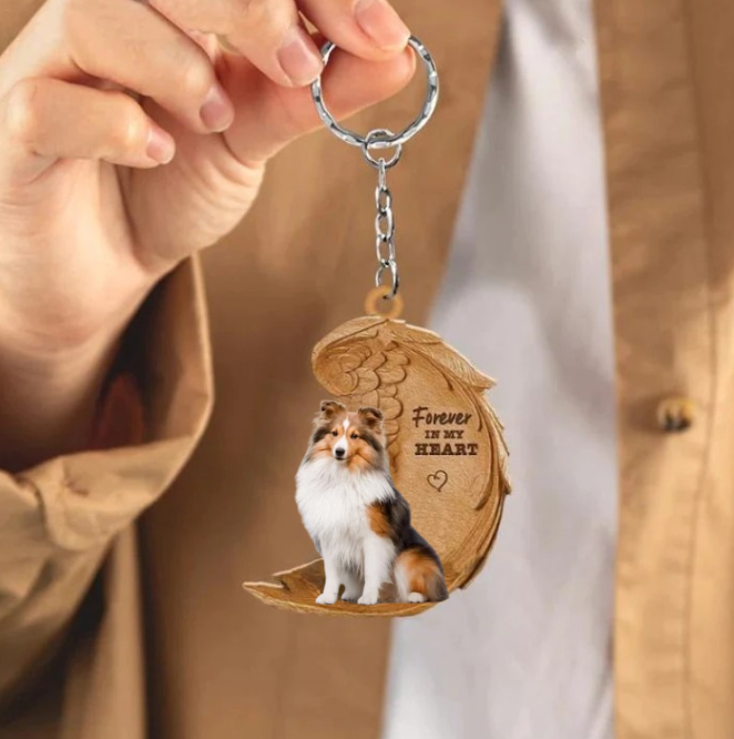 Sheltie | Na Zawsze w Moim Sercu