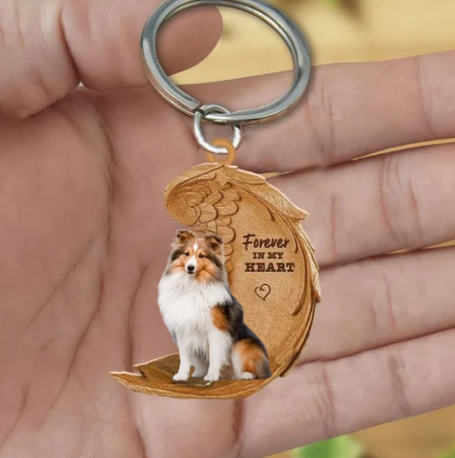 Sheltie | Na Zawsze w Moim Sercu