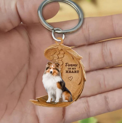 Sheltie | Na Zawsze w Moim Sercu