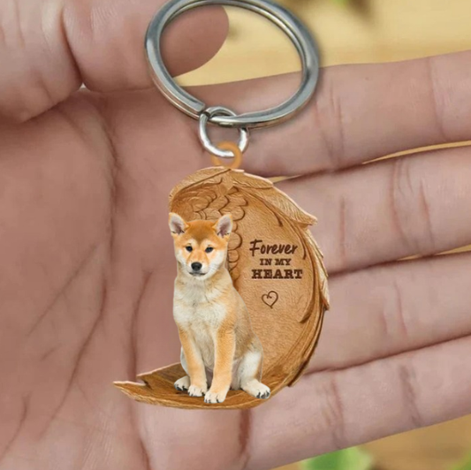 Shiba Inu| Na Zawsze w Moim Sercu