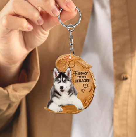 Siberian Husky | Na Zawsze w Moim Sercu