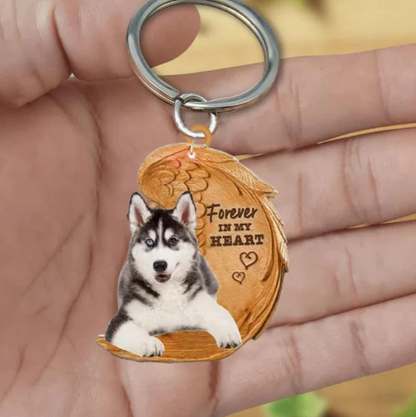 Siberian Husky | Na Zawsze w Moim Sercu