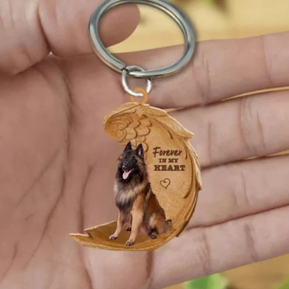 Tervuerense herder | Na Zawsze w Moim Sercu