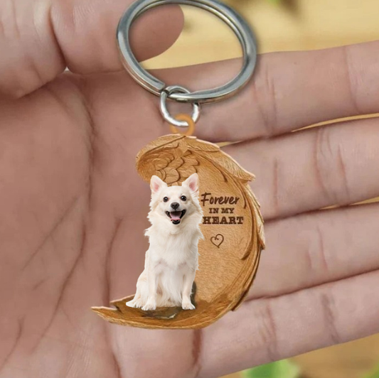 Biały Chihuahua | Na Zawsze w Moim Sercu