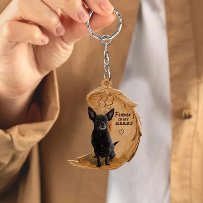 Czarny Chihuahua | Na Zawsze w Moim Sercu