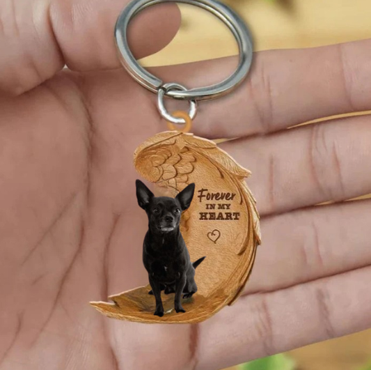 Czarny Chihuahua | Na Zawsze w Moim Sercu