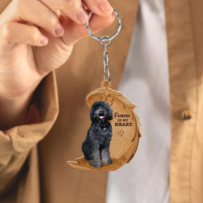 Czarny Labradoodle | Na Zawsze w Moim Sercu