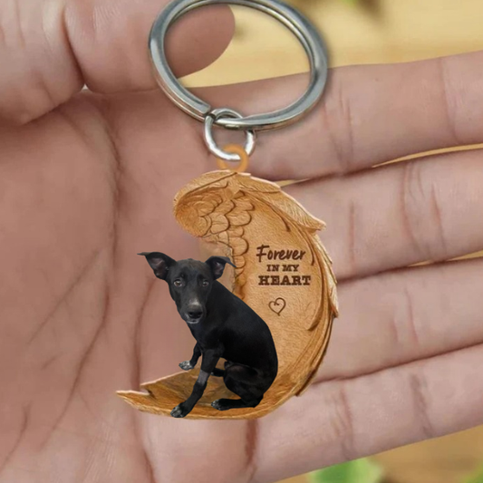 Czarny Podenco | Na Zawsze w Moim Sercu