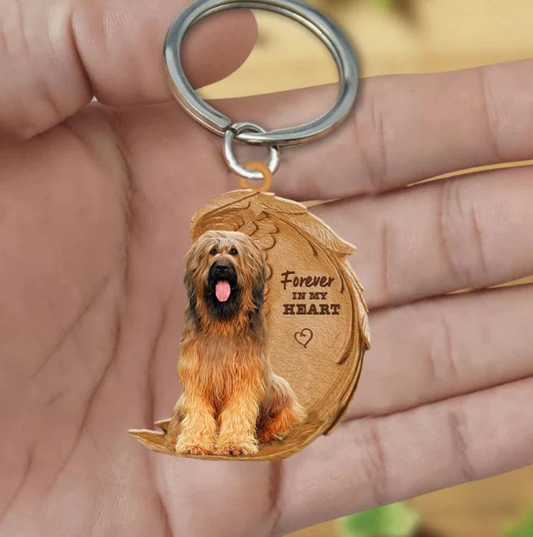 Briard | Voor Altijd in Mijn Hart