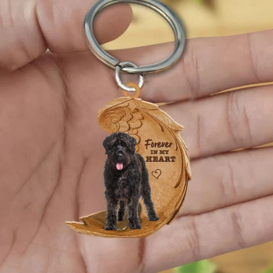 Bouvier des Flandres | Voor Altijd in Mijn Hart